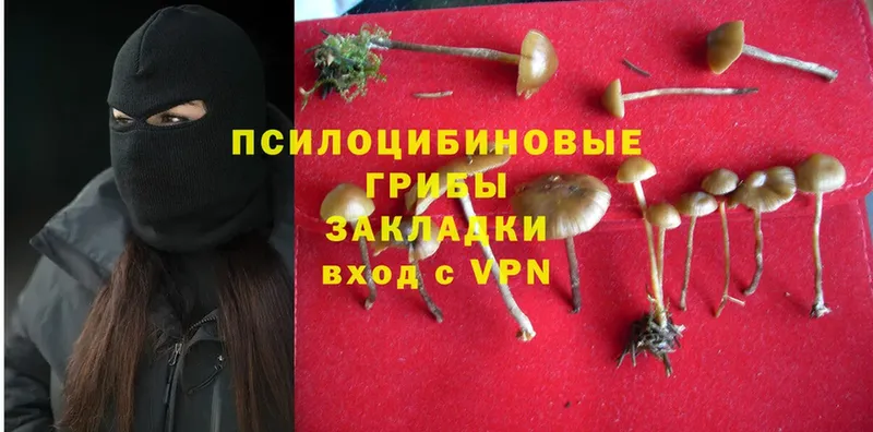 Галлюциногенные грибы MAGIC MUSHROOMS  гидра ТОР  Кувшиново 